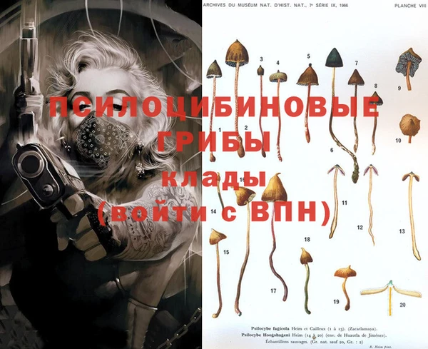 круглые Алексин