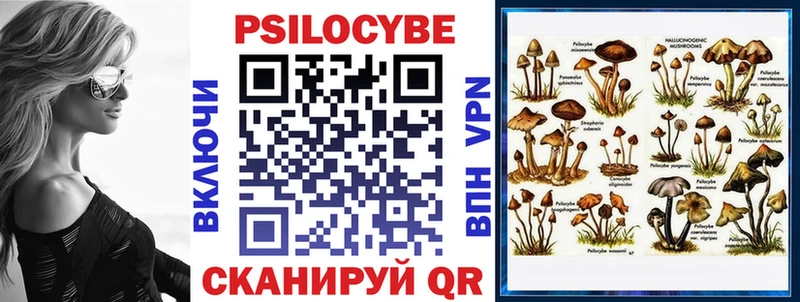 купить   Лобня  маркетплейс какой сайт  Галлюциногенные грибы Psilocybine cubensis 